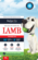 Bailey+Co Freeze Dried Training Aid Lamb 50g