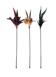 Pawise Cat Wand Feather Duster-cat-The Pet Centre