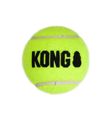 Kong AirDog Squeaker Ball Medium
