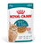 RC Feline Ageing 11+ in Gravy 85g