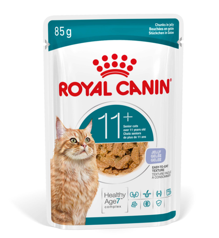 RC Feline Ageing 11+ in Jelly 85g