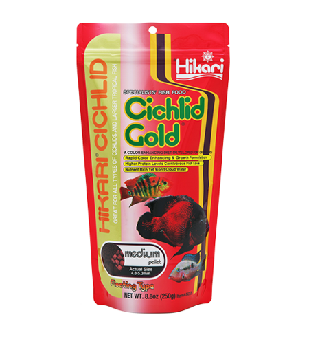 Hikari Cichlid Gold Medium Pellet Floating 250g