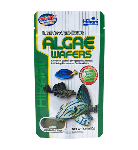 Hikari Tropical Algae Wafer Sinking 40g