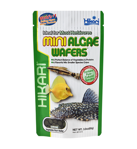 Hikari Algae Mini Wafer Sinking 85g
