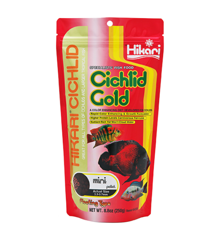 Hikari Cichlid Gold Mini Pellet Floating 250g