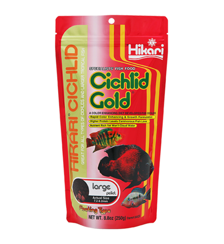 Hikari Cichlid Gold Large Pellet Floating 250g