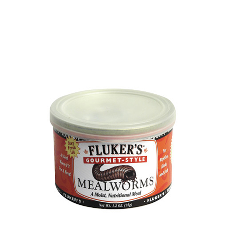 Flukers Gourmet Mealworms 35g