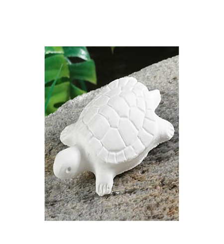 Hot House Turtles Vege Bite Large