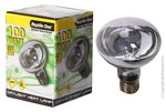 Reptile One Heat Lamp Day Light 100W E27 Screw Fitting-fish-The Pet Centre