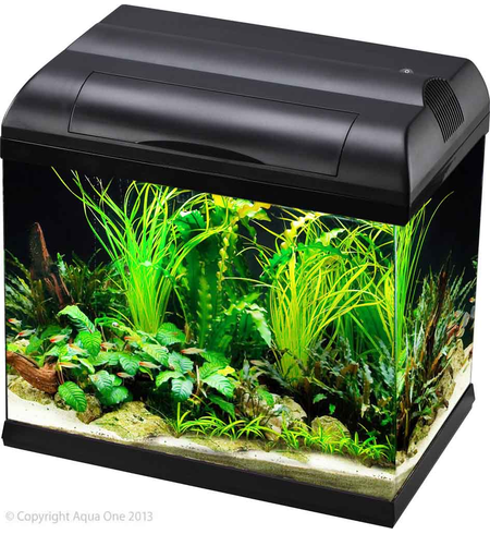 Aqua One Ecostyle 37 Aquarium Black 21lt