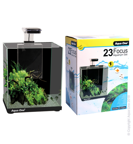 Aqua One Focus 23 Glass Aquarium 23L 30L X 22D X 41cm H (black)