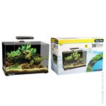 Aqua One Focus 36 Glass Aquarium 36L 50L X 25D X 34cm H (black)-fish-The Pet Centre