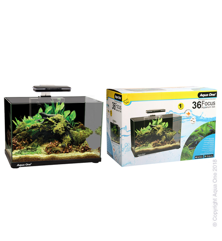 Aqua One Focus 36 Glass Aquarium 36L 50L X 25D X 34cm H (black)