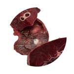 Alphapetz Whole Wallaby Pieces Bone in 600g-dog-The Pet Centre