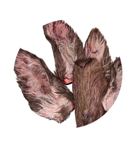 Alphapetz Frozen Venison Ears with Fur 3pk