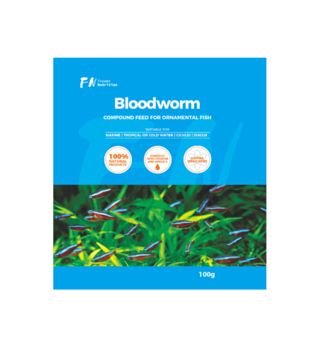 Frozen Nutrition Bloodworm
