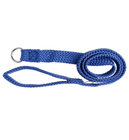 Beau Pets Nylon Slip Lead 20mm x 180cm Blue