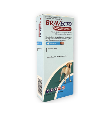Bravecto 1 Month Triple Large Dog 20.1 - 40kg 1pk