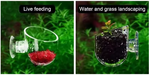 Acrylic Feeding or Plant Cup-fish-The Pet Centre