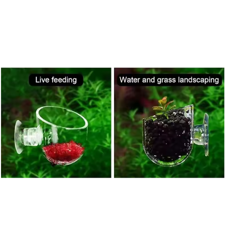 Acrylic Feeding or Plant Cup