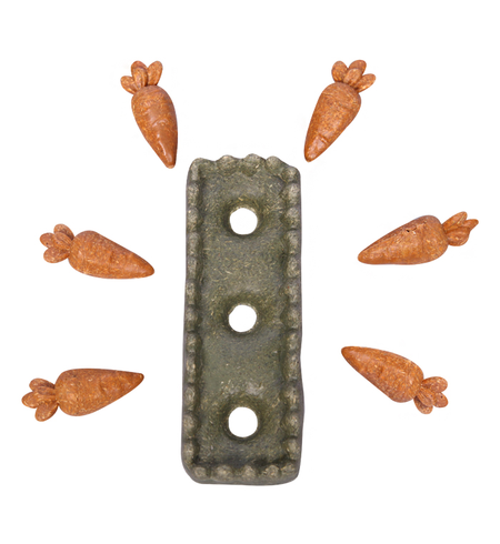 Pet One Treat Carrot Patch 7pcs