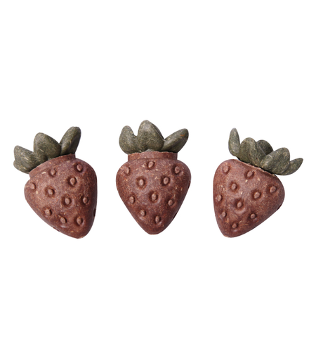 Pet One Treat Strawberries 3pcs