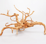 Spider Wood 45-55cm price per KG-fish-The Pet Centre