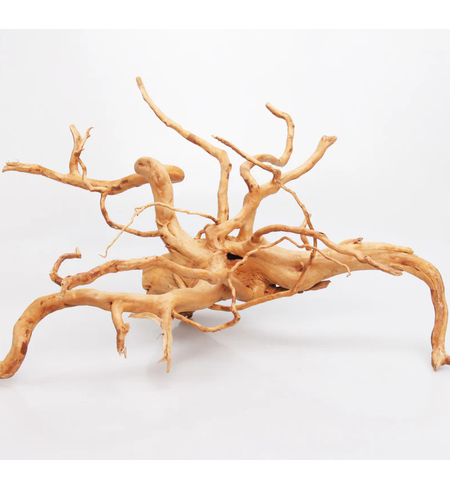 Spider Wood 45-55cm price per KG