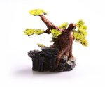 Aqua One Bonsai Small 24x16.5x18.5cm-fish-The Pet Centre