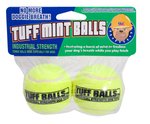 Petsport Tuff Mint Balls 2 Pack-dog-The Pet Centre