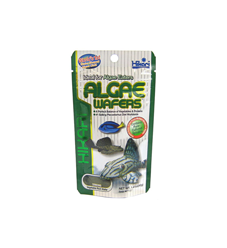 Hikari  Algae Wafer 40gm