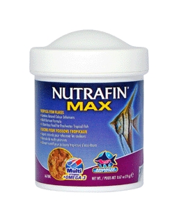 thumbnail image 2 of Nutrafin Staple Fish Food For Tropical Aquarium Fish - Complete Nutrition Flakes, 2.3kg (5 Lb) Pail 2 of 13