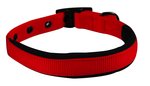 Yours Droolly Collar Foam Medium Red-dog-The Pet Centre