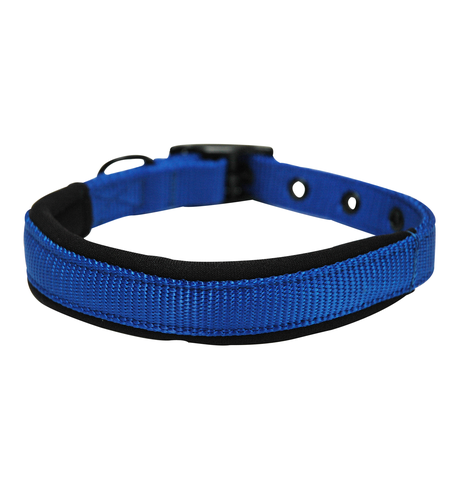 Yours Droolly Collar Foam Large Blue