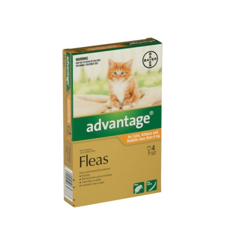 Advantage Flea Treatment for Small Cat & Kitten <4kg 4 pack