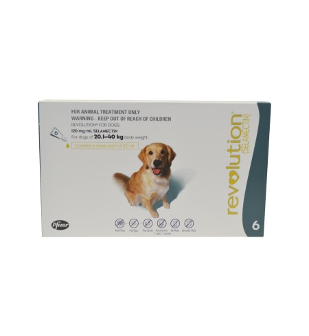 Revolution Flea Treatment for Dogs 20-40g 6 pack