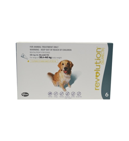 Revolution Flea Treatment for Dogs 20-40g 6 pack