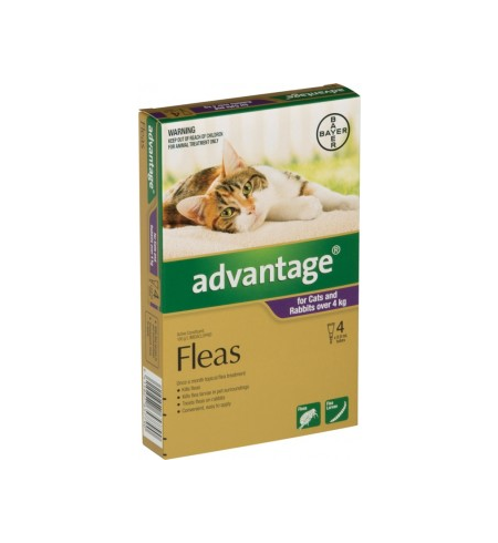 Advantage Flea Treatment for Cats 4-8 kg 4 Pack