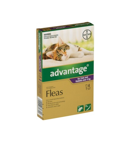 Advantage Flea Treatment for Cats 4-8 kg 4 Pack