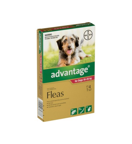 Advantage Flea Treatment for Dogs 10-25kg 4 pack