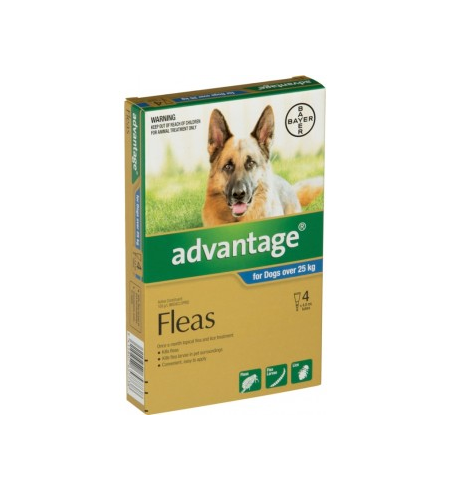 Advantage Flea Treatment for Dogs over 25kg 4 pack