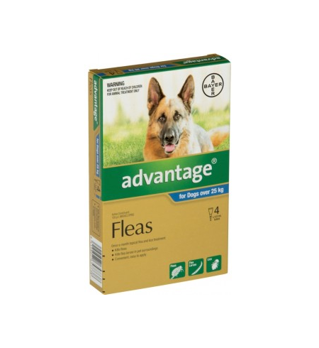 Advantage Flea Treatment for Dogs over 25kg 4 pack