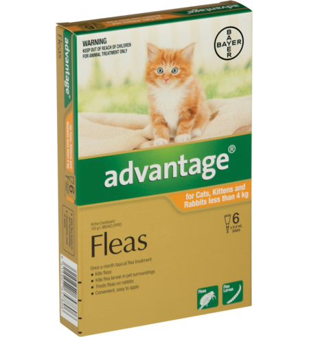 Advantage Small Cat & Kitten <4kg 6 pack