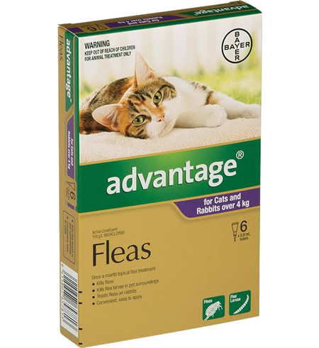 Advantage Flea Treatment for Cats 4-8 kg 6 Pack