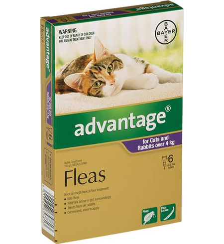 Advantage Flea Treatment for Cats 4-8 kg 6 Pack