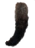Possum Tail-cat-The Pet Centre