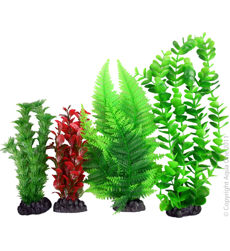 Plastic Plant 4 pack mix 3 large