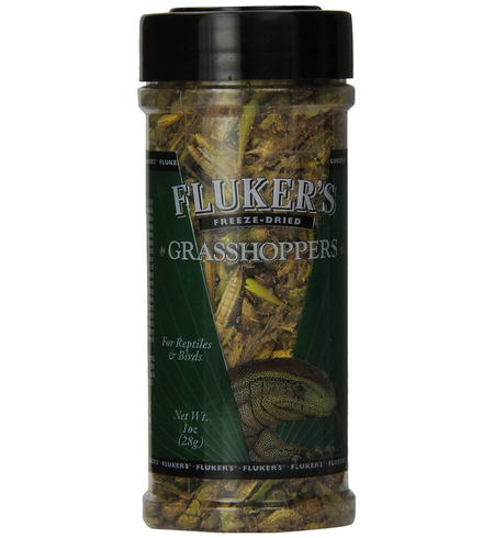 Flukers Freeze Dried Grasshopper 28g