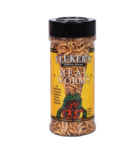 Flukers Dried Meal Worms 48gm