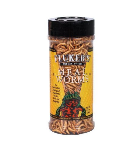 Flukers Dried Meal Worms 48gm